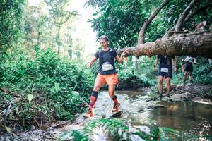 BIB: 
                            <button type="button" onclick="openModal(25436144)" class="btn btn-primary btn-sm float-right btn-popup" data-toggle="modal" data-target=".modal-high-quality">
                        <i class="fas fa-shopping-cart"></i> Add to Cart
                    </button>
                                            <button type="button" onclick="isThisMe(25436144, true)" class="btn btn-success btn-sm float-right btn-popup btn-isme hidden" data-toggle="tooltip" data-placement="bottom" title="นี่คือรูปของคุณใช่ไหม คลิกที่นี่เพื่อเอาเข้าอัลบั้ม">
                        <i class="fas fa-plus"></i> Add to album
                    </button>
                    <button type="button" onclick="isThisMe(25436144, false)" class="btn btn-warning btn-sm float-right btn-popup btn-isnotme hidden">
                        <i class="fas fa-ban"></i> Remove from album
                    </button>